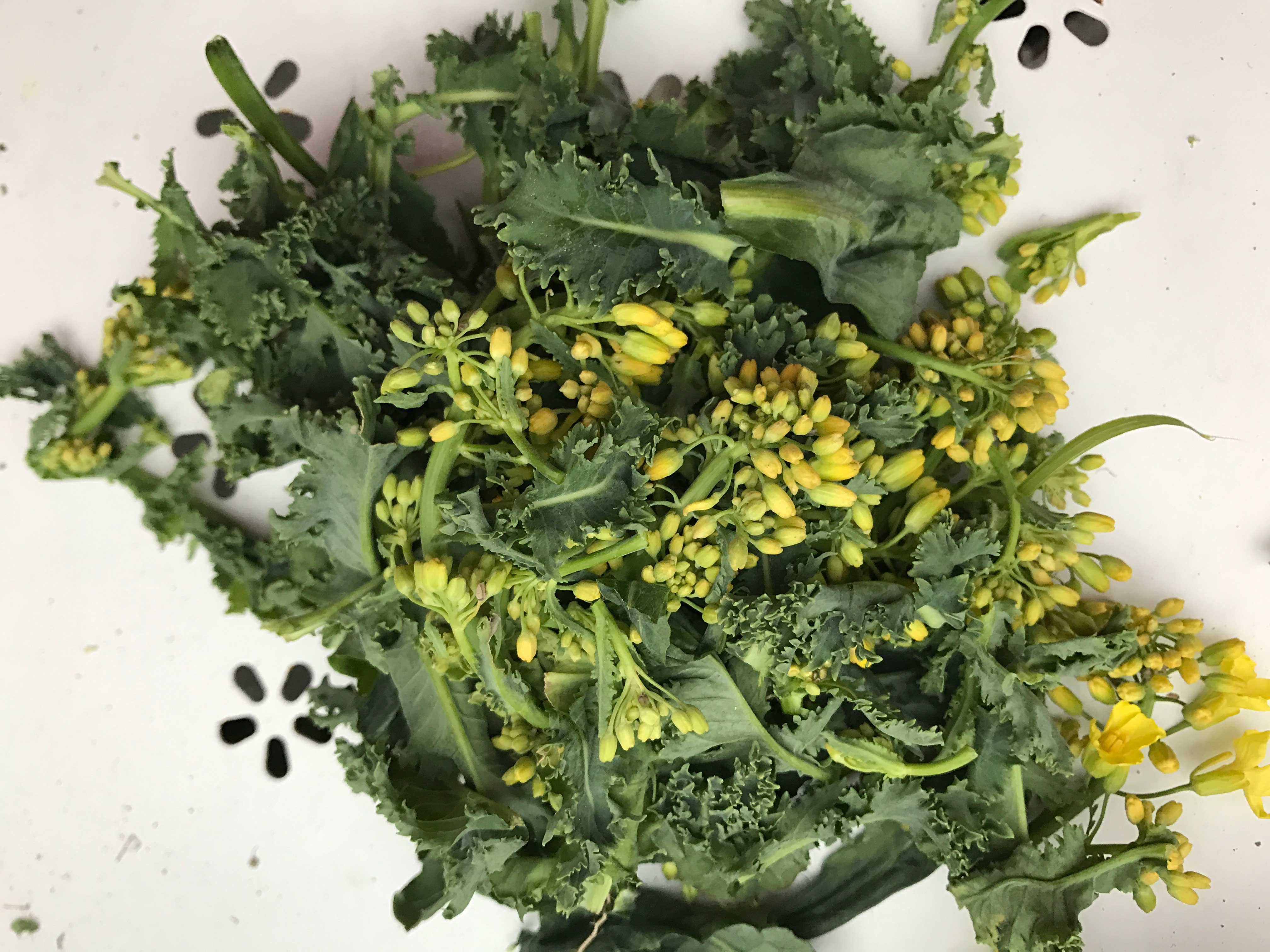 #LeafToRoot: Stir fry mit Federkohl- und Schwarzkohl-Blüten