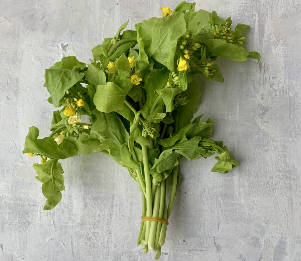 Neues Gemüse? Nein, geschossener Asiasalat