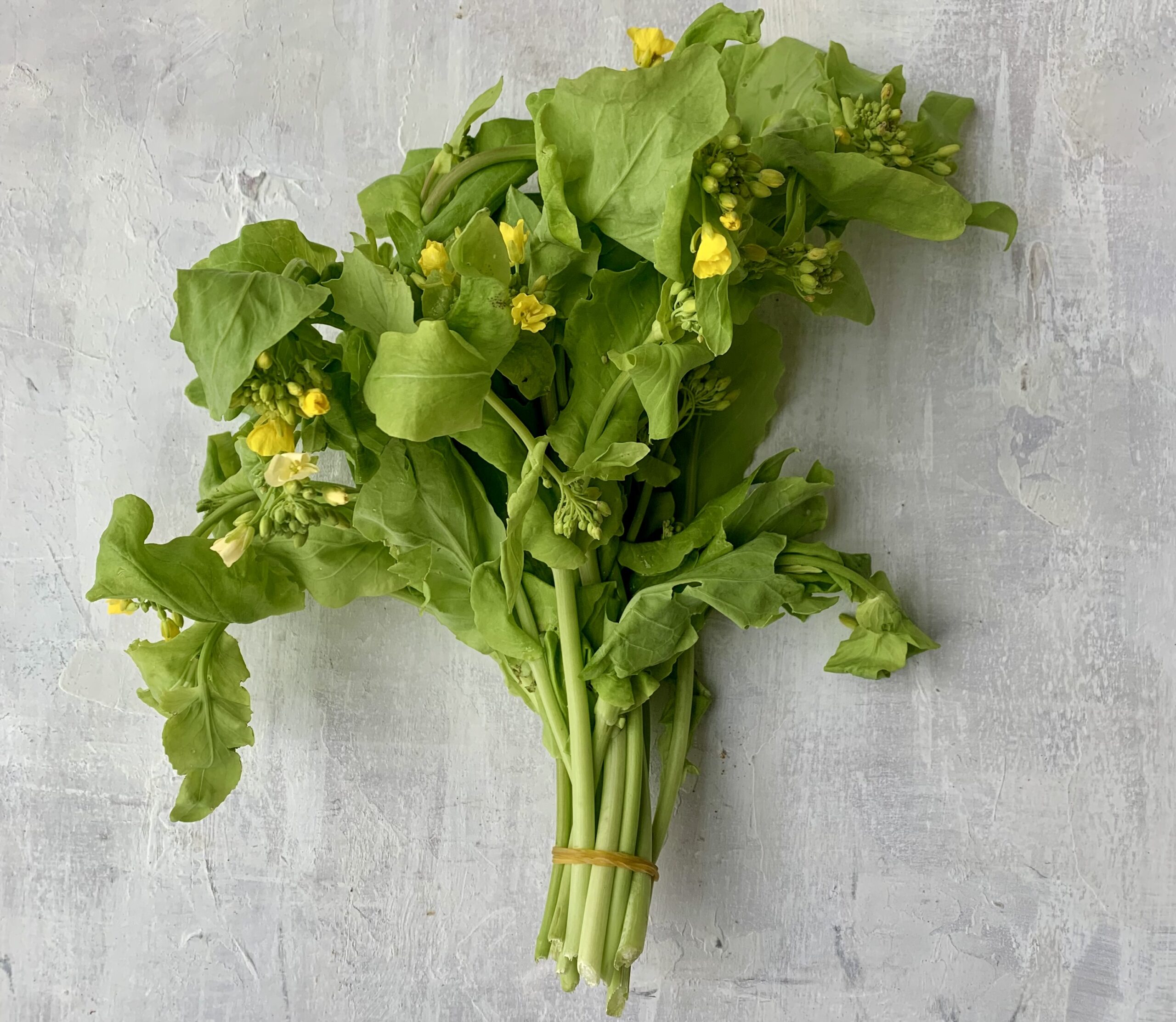 Neues Gemüse? Nein, geschossener Asiasalat