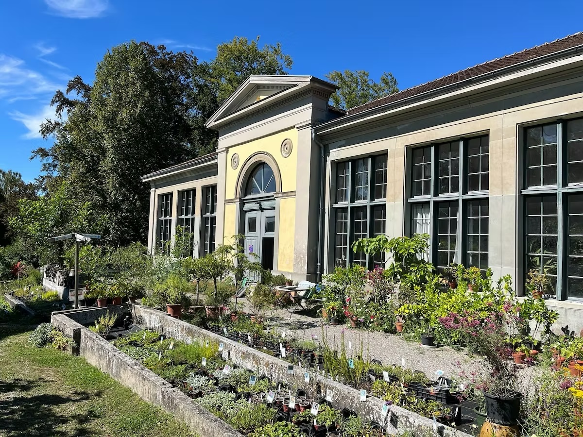 Gemüse-Masterclass im Schlossgarten am 6. Juni 2026