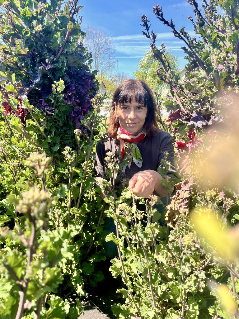 Esther Kern im Feld von Regina Schwarzenbach auf dem Hirzel ZH.