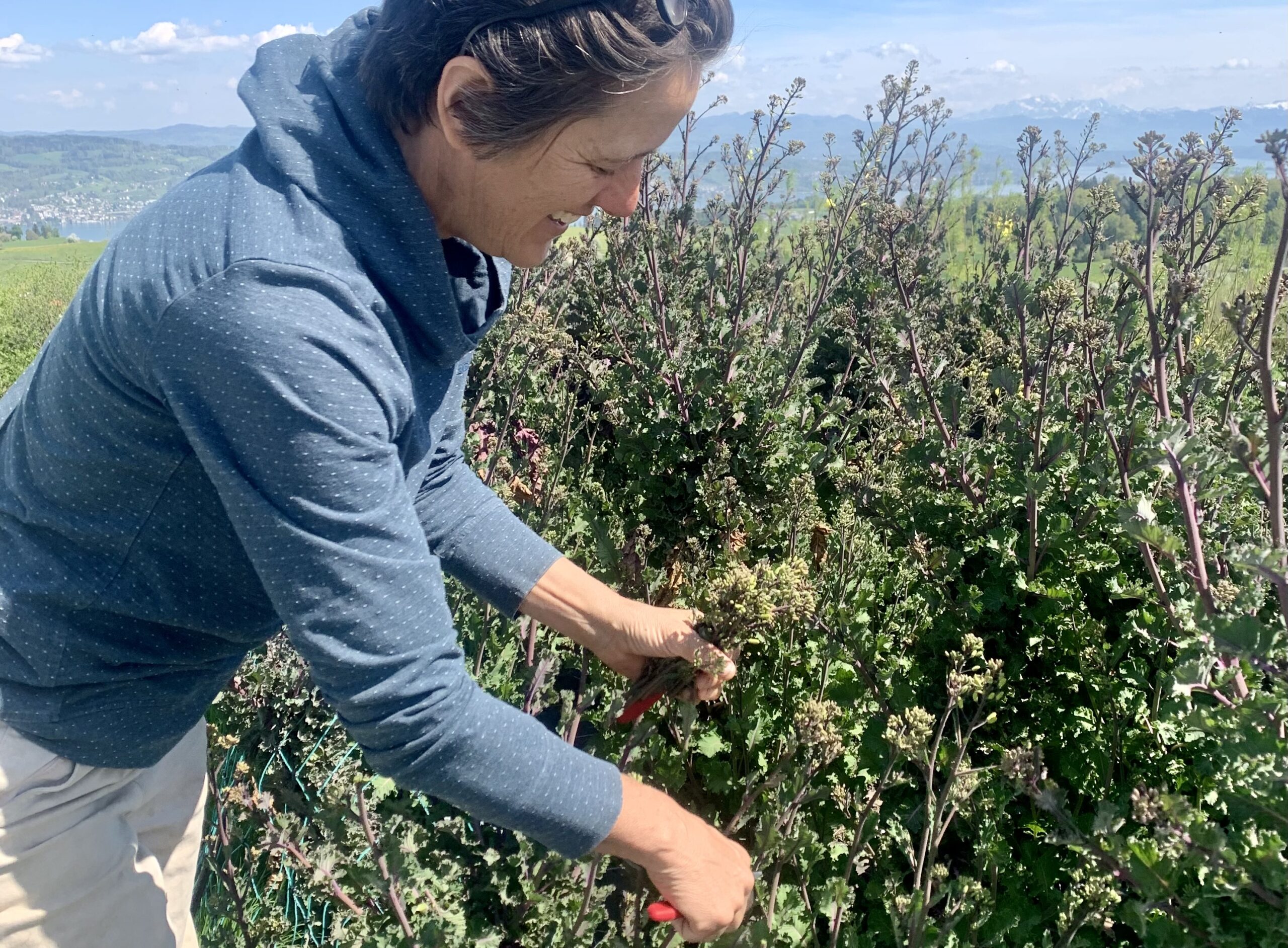 Regina Schwarzenbach, Bäuerin auf dem Hof «z'Alpenblick»