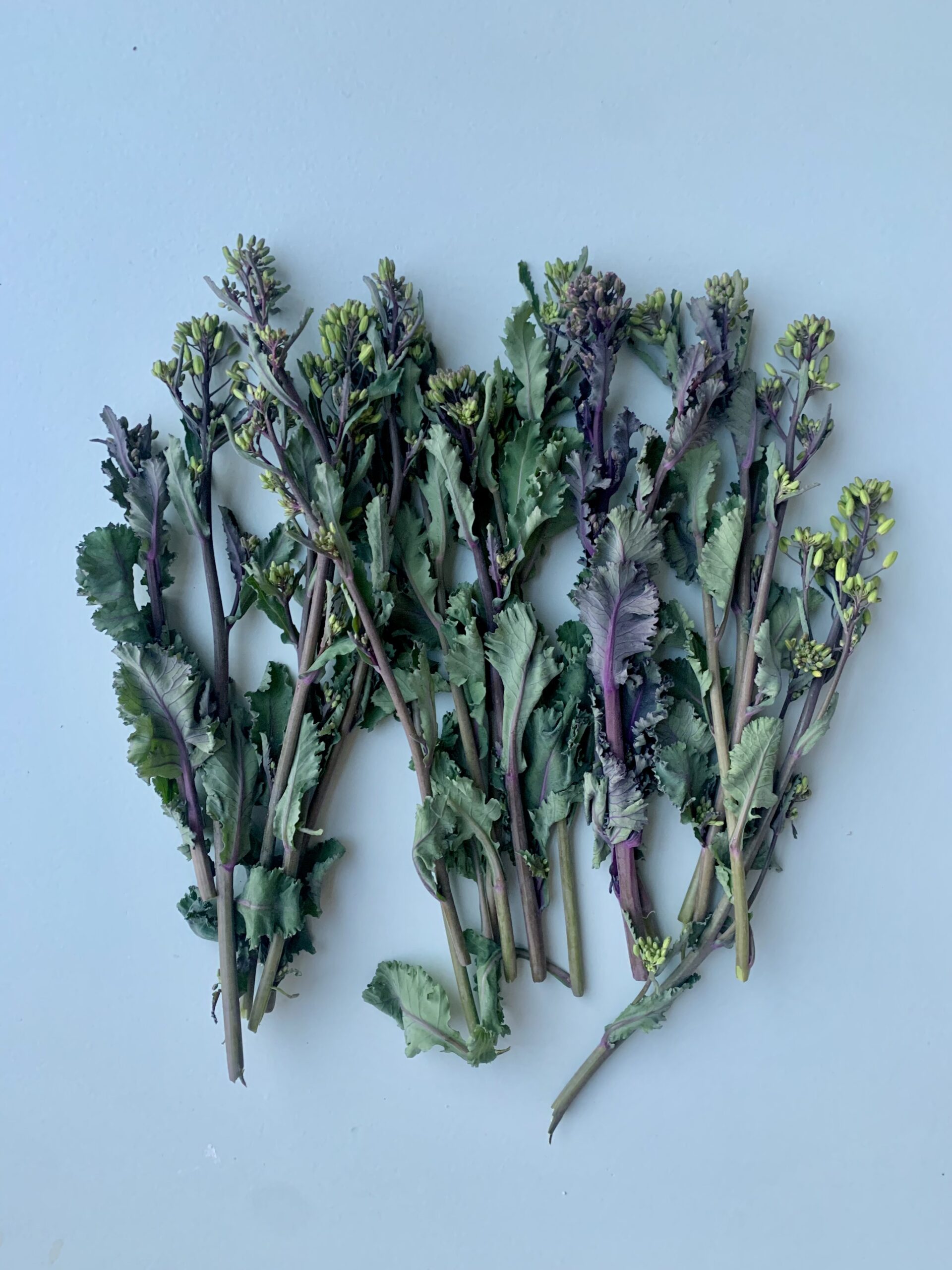 Kalettes-Spargeln: feine Stängel, zarte Blüten.