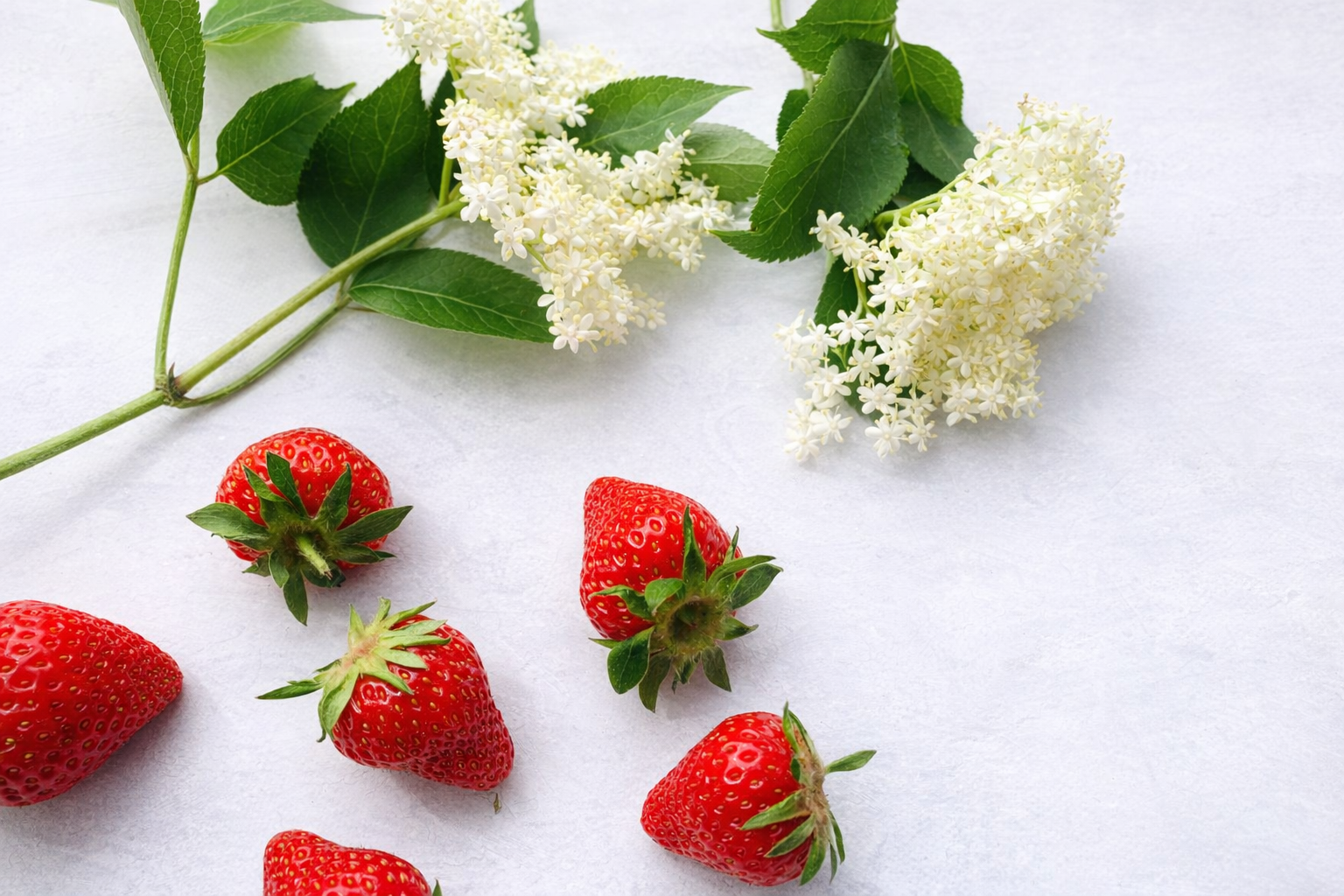 Eine verführerische Kombi: Holunderblüten und Erdbeeren.