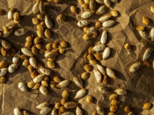 Geröstete Kürbiskerne: knuspriger Snack aus dem Ofen